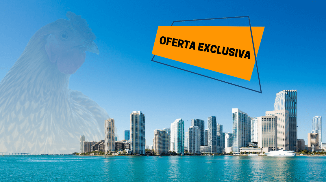 cabezal oferta exclsuiva